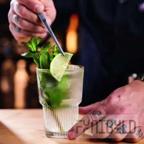 Arc Cardinal X0433 Arcoroc Starline Tumblers & Barware 16.0 Oz ['Soda Lime Glass'