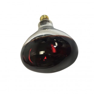Nemco 66104 250 Watt Red Heat Lamp Bulb with Case of 12