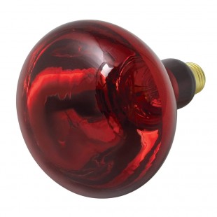 Hatco RED-UCTD-120 250 Watt Uncoated Red Heat Lamp Bulb