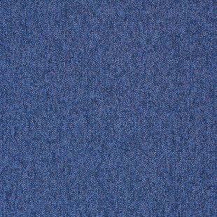 Carpet Master
