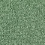 Carpet Master