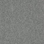 Carpet Master