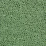 Hercules carpet