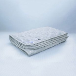 Blanket swan down in ticking light 172x205