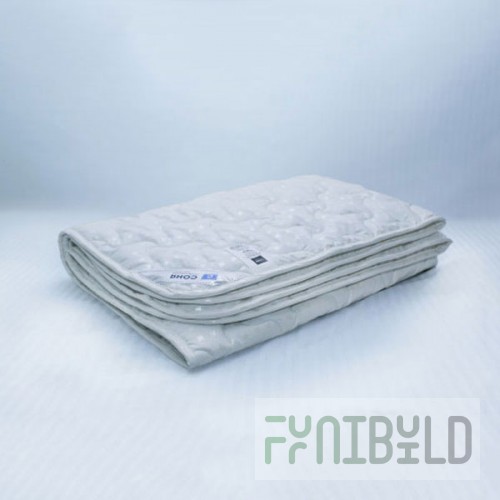 Blanket swan down in ticking light 172x205