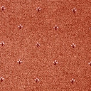 Carpet Palace