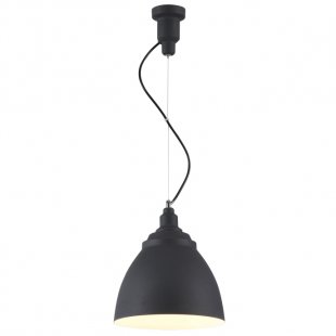 Bellevue Pendant Light #1