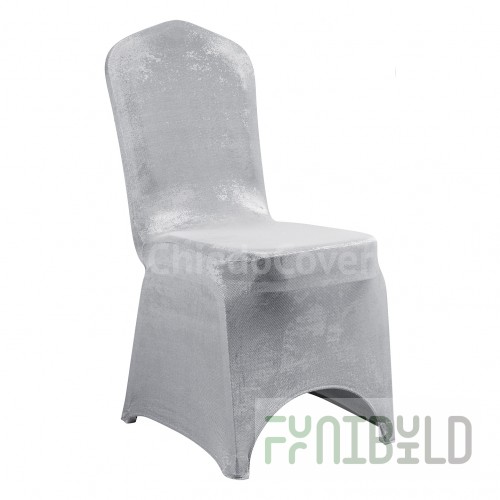 Case 01 silver