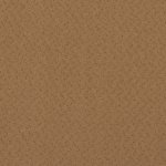 Carpet Fortesse