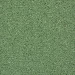 Carpet Fortesse