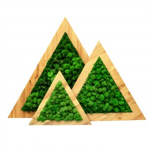 Eco Panel Triangle
