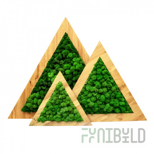 Eco Panel Triangle