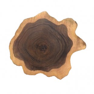 Table top cut walnut Ceuta