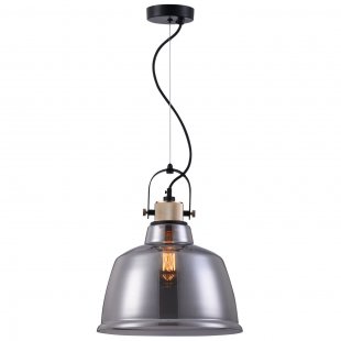 Pendant lamp Irving №6