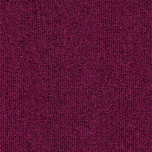 Carpet Solid