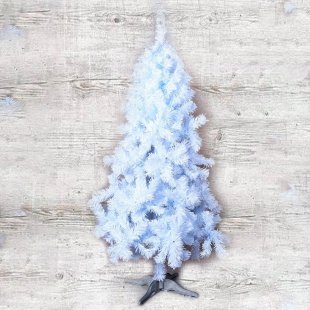 Spruce Snow Maiden