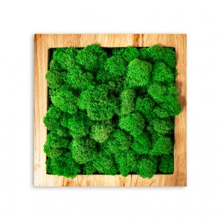Eco Panel Rectangle