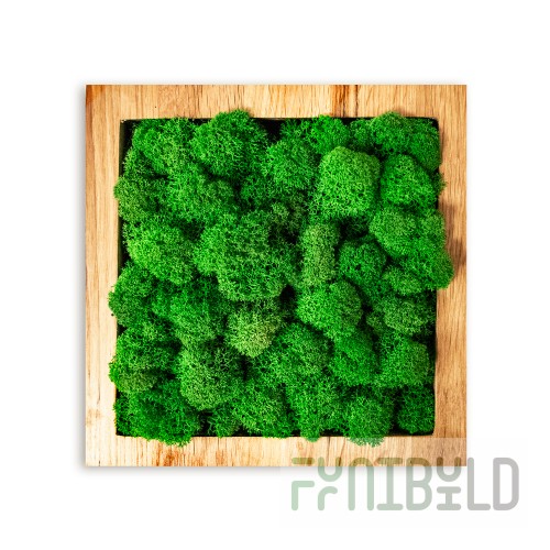 Eco Panel Rectangle