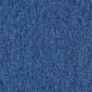 Carpet Blitz