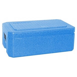 Thermal container Foodatlas H-24L (blue)