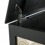 Mango Wood Chest, Aadi