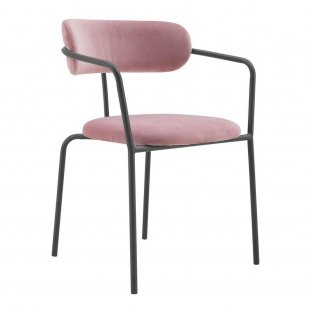 Ant chair powder