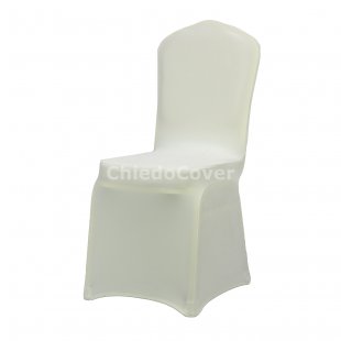 Case 01 white velvet