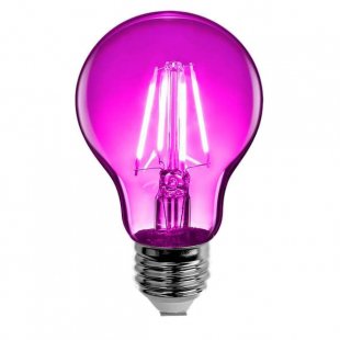 Decorative incandescent bulb Feit Edison Pink
