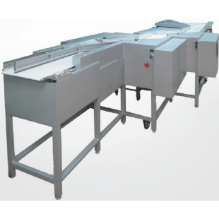 Conveyor for transporting confectionery products to the PITATEL packaging machine in Krasnodar