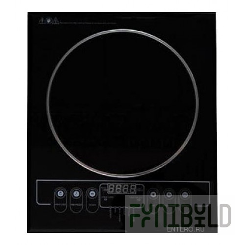Induction cooker ROAL HL-С22XA