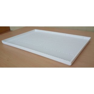 Tray for drying fruits, vegetables, mushrooms and berries