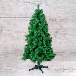 Vyatka spruce, green, wide
