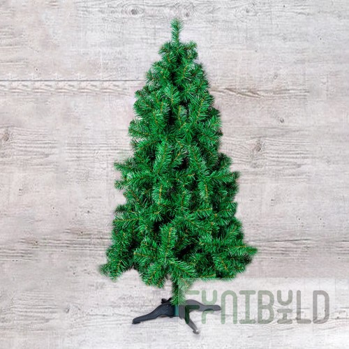 Vyatka spruce, green, wide