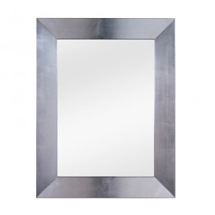 Mirror 01660