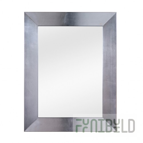 Mirror 01660