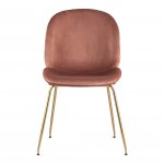 Turin chair powder, golden legs