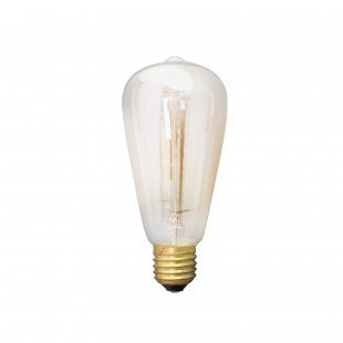 Decorative Incandescent Bulb Citilux Edison ST64-19FL