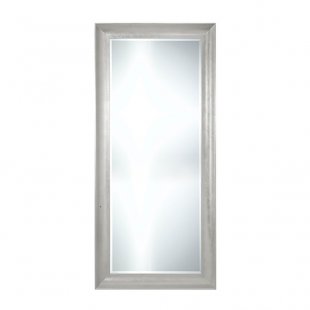 Mirror 01667