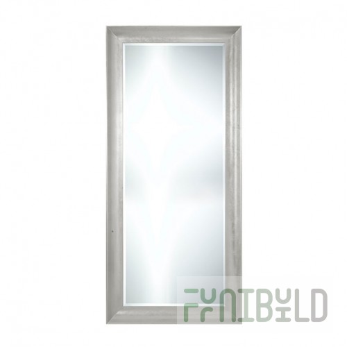Mirror 01667