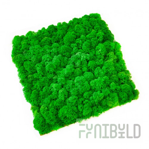 Eco Panel of homogeneous moss