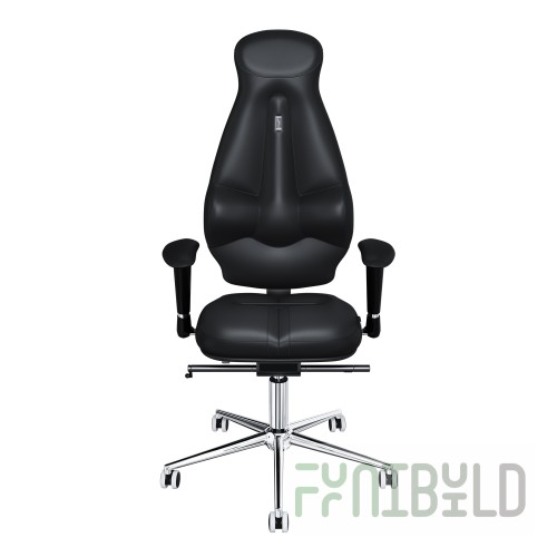 Ergonomic computer chair Kulik System Galaxy