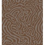 Carpet Lazio