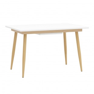Dining table Stockholm extendable 120/160*90 white