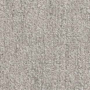 Carpet E-Major