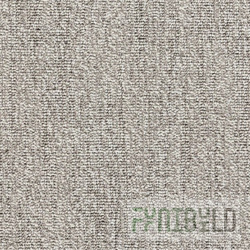 Carpet E-Major