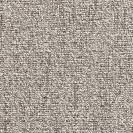 Carpet E-Major