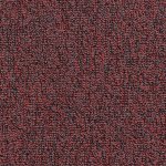 Carpet E-Major