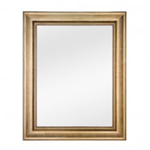 Mirror 01661