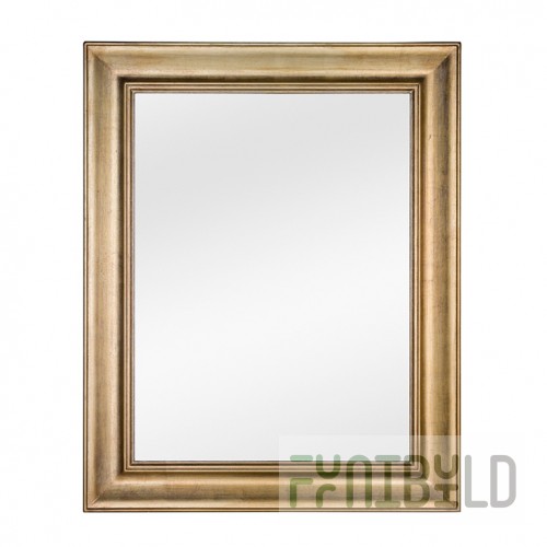 Mirror 01661
