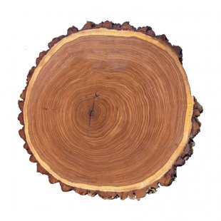 Tabletop saw cut elm Sichan